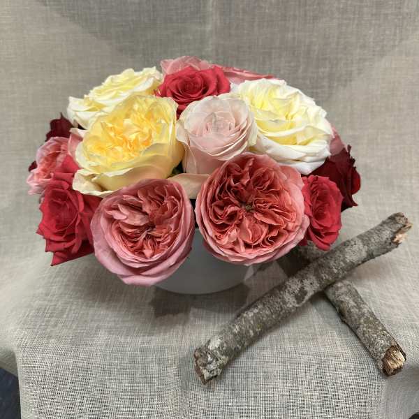 different shades of Garden Roses