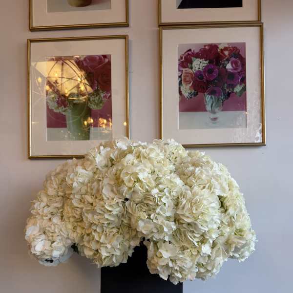 Large white hydrangea arrangement in a black vase on a pedestal