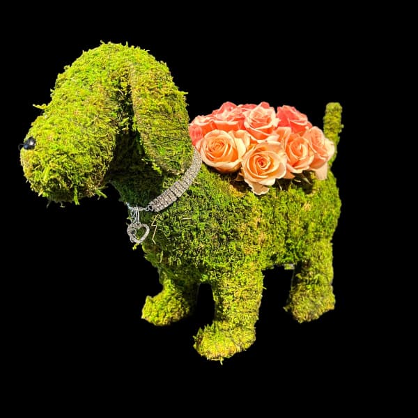 Moss-covered dog sculpture with peach roses on its back