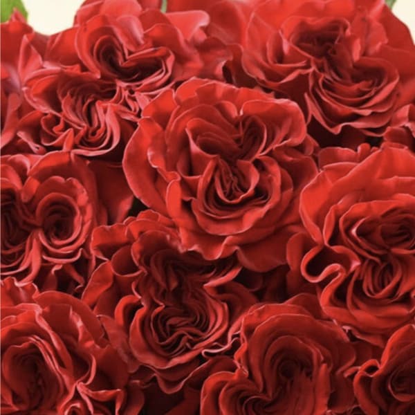 Dozen Heart Rose Bouquet