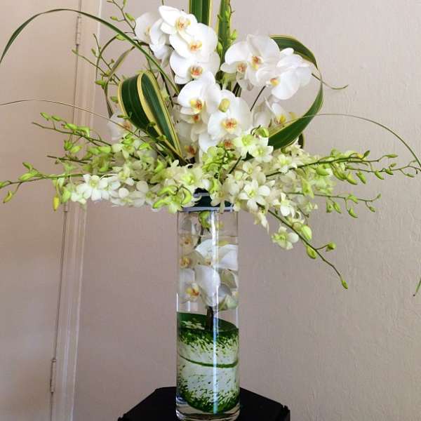 White orchids arranged in a tall glass vase with green accents