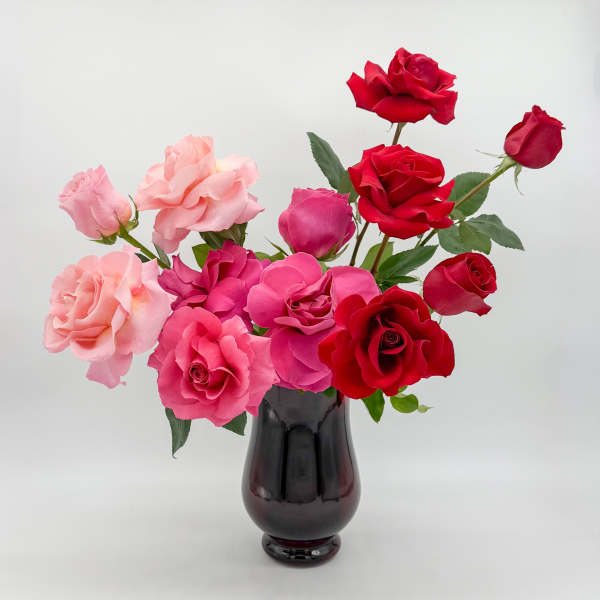 Pink and red roses arranged in a dark glass vase