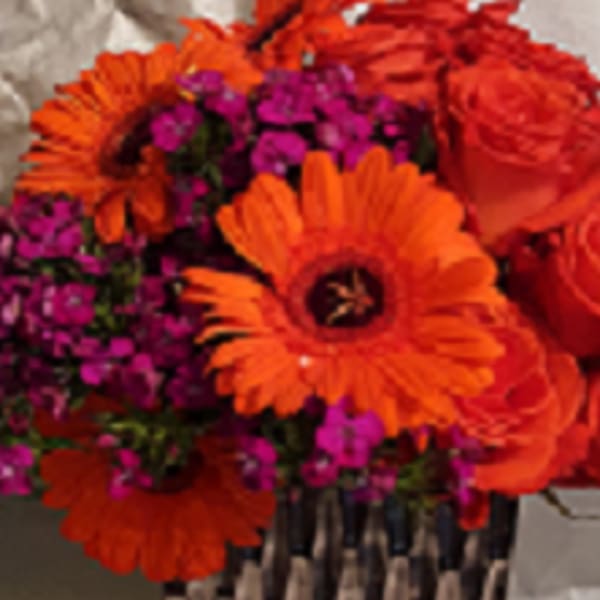 Orange gerbera daisies and red roses with purple filler flowers in a basket