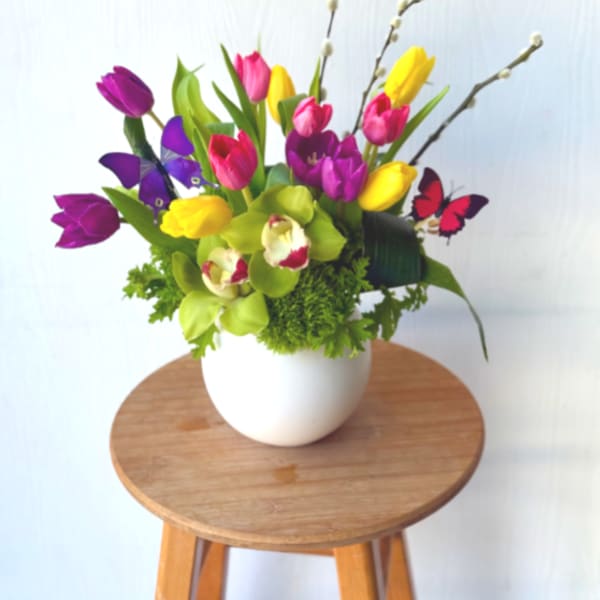 Colorful tulips and green orchids in a white round vase with pussy willow branches and butterfly picks.