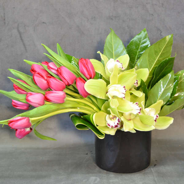 Tulips & Orchids