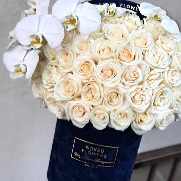 Bouquet of cream roses with white orchids in a navy wrap