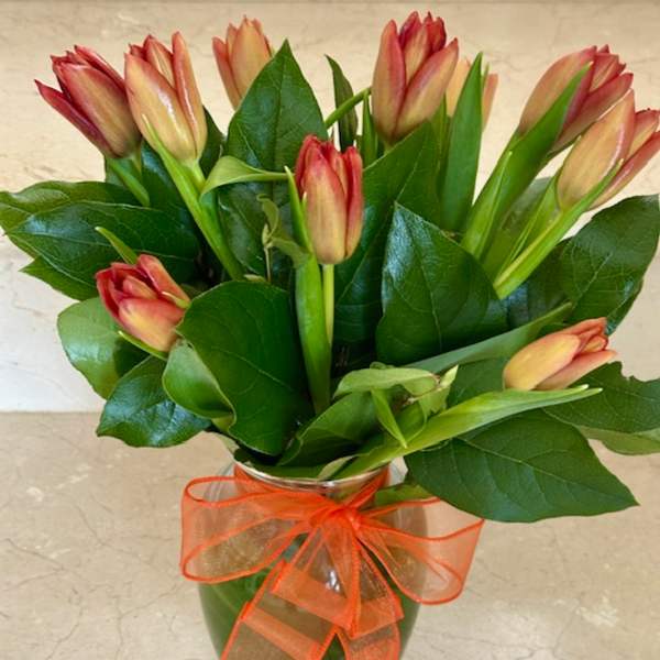 Bouquet of orange and peach tulips in a clear vase with an orange ribbon bow