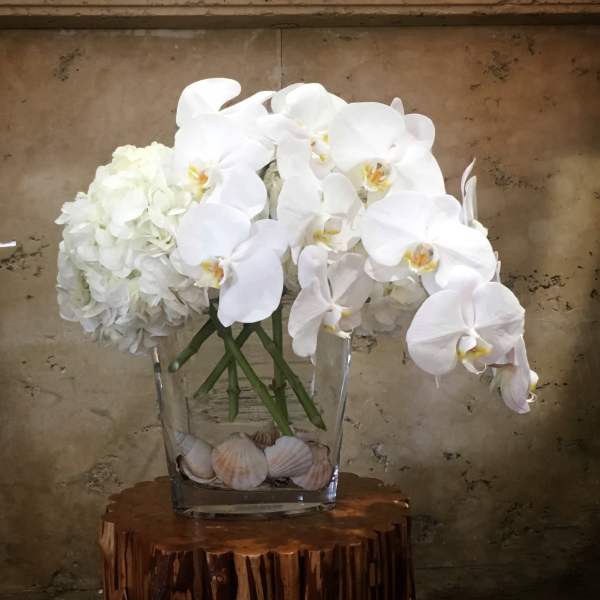 White orchids and hydrangeas in a clear glass vase with seashells