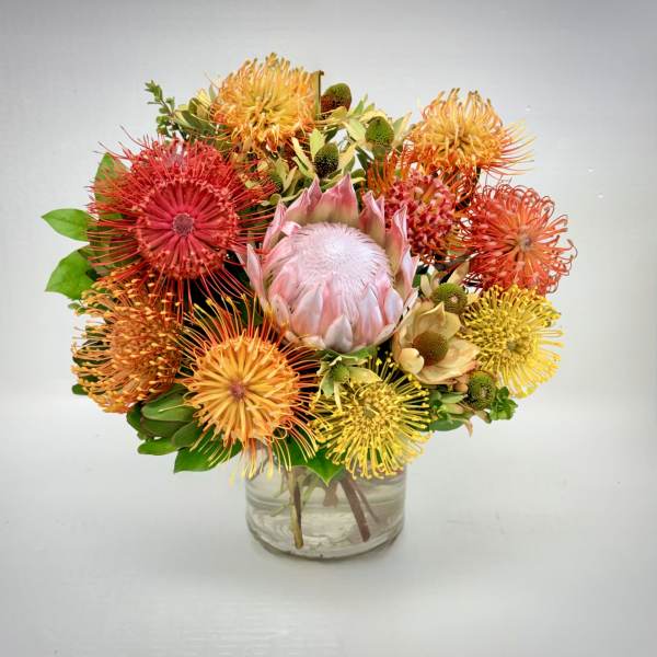 Tropical Sunset Protea
