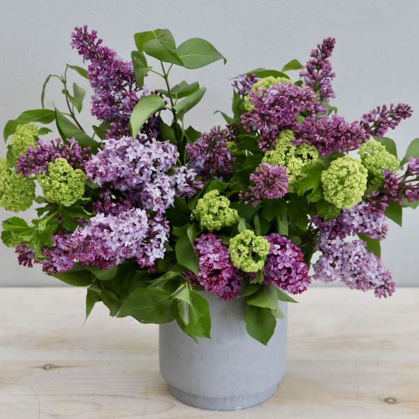 Lilac and green viburnum arrangement in a gray vase