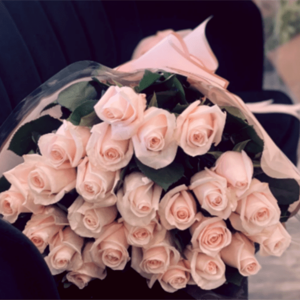 Large bouquet of pale blush roses wrapped in clear cellophane and paper on a dark seat