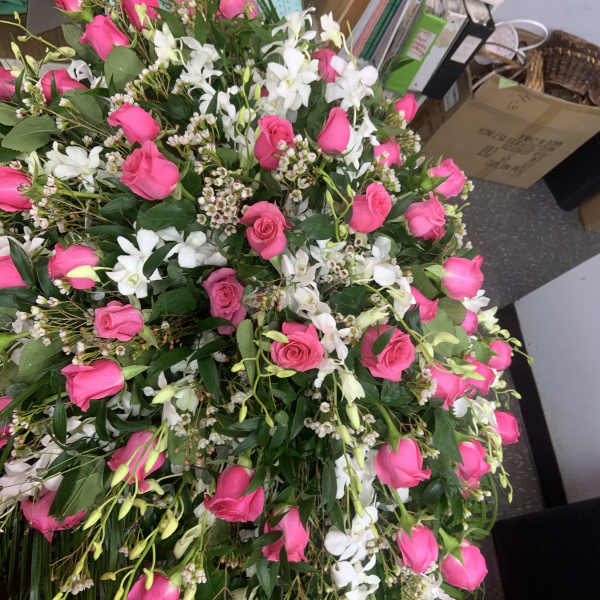 Casket cover of pink roses, white orchids and wax flower