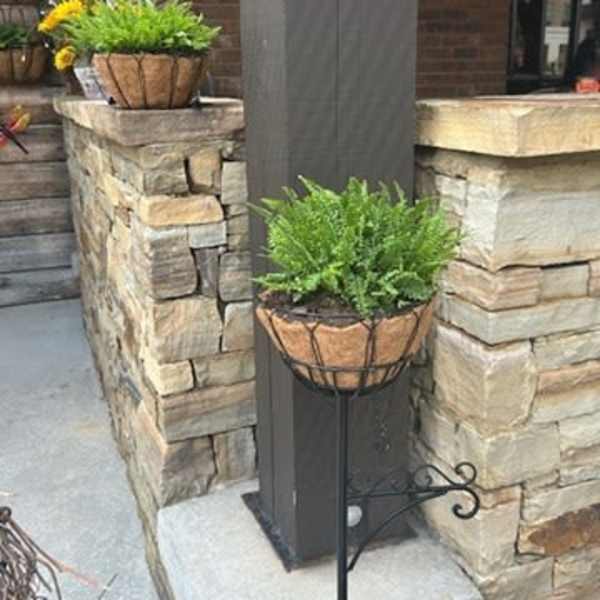 Two potted green plants on outdoor stone pillars with yellow flowers in one pot.