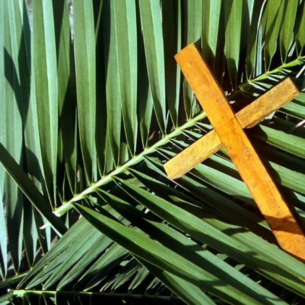 Palm Branches