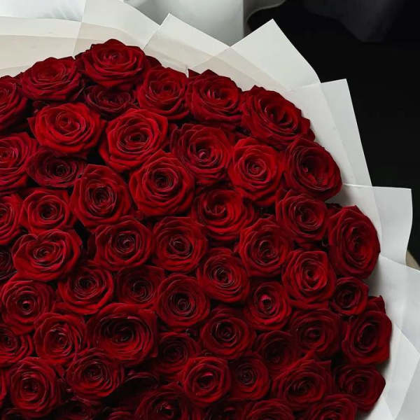 Large bouquet of red roses wrapped in white paper