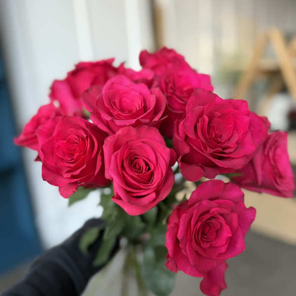 Hot Pink Explorer Roses in a Vase