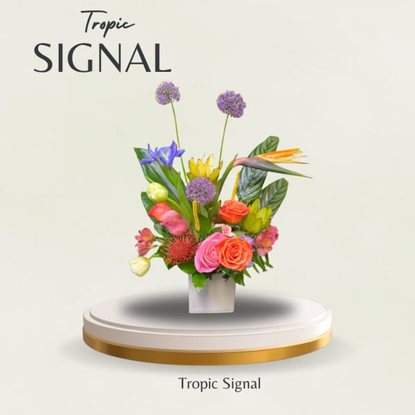 Tropic Signal