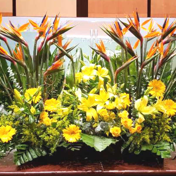 Large tropical arrangement with orange birds of paradise and yellow flowers in a low front-facing display