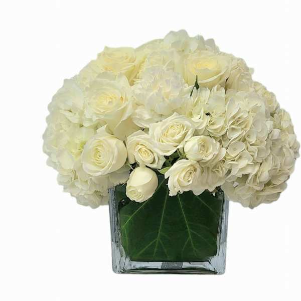 White roses and hydrangeas in a square glass vase
