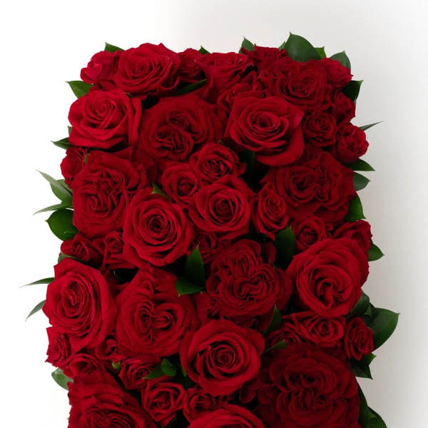 Rectangular arrangement of densely packed red roses viewed from above
