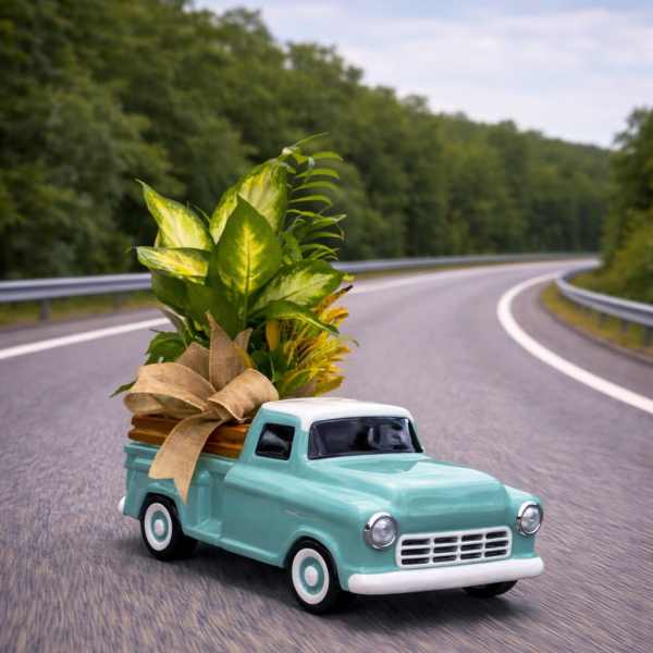 Mini turquoise pickup truck holding a potted leafy plant with a ribbon