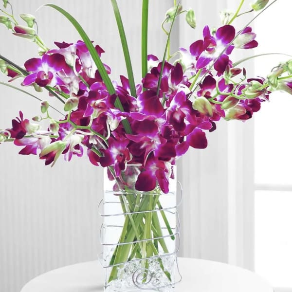 Purple orchids arranged in a clear glass vase