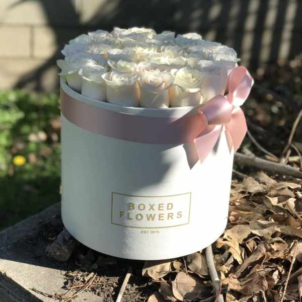 White roses in a round box with a pink ribbon