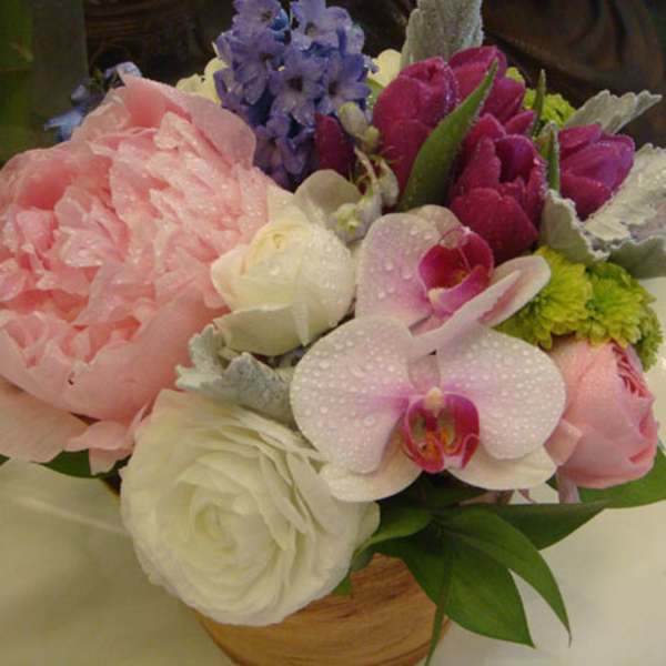 Tulips, orchids, ranunculus, peonies, and hyacinth in a clay pot.