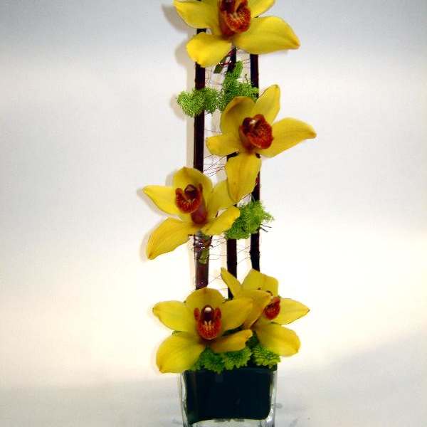 Tall arrangement of yellow orchids in a glass vase