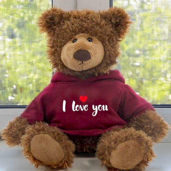 Brown teddy bear wearing a maroon hoodie with "I love you" text