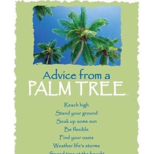 Decorative sign with palm trees against blue sky and inspirational advice text.