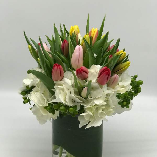 Mixed tulips and white hydrangeas in a glass vase