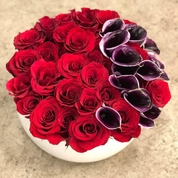 Low round arrangement of red roses with dark purple mini calla lilies in a white bowl