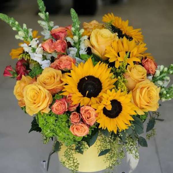 Arrangement of sunflowers, yellow and peach roses, and green hydrangea in a round yellow box.
