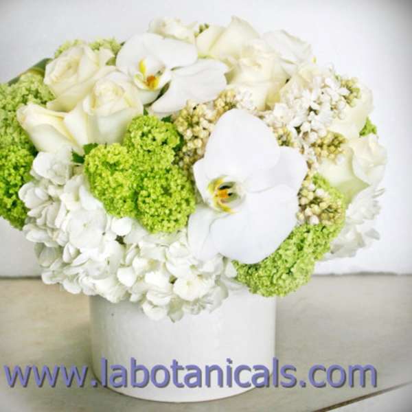 White roses and orchids in a white vase with bright green blooms