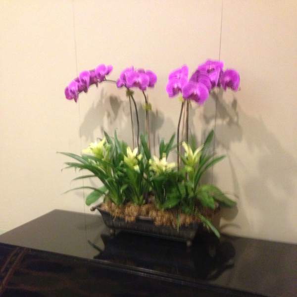 Purple orchids arranged in a low rectangular planter