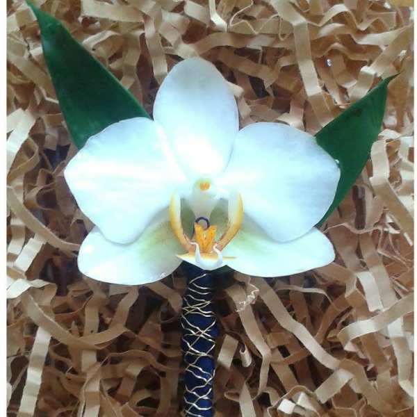 White orchid boutonniere with green leaves on a wrapped stem