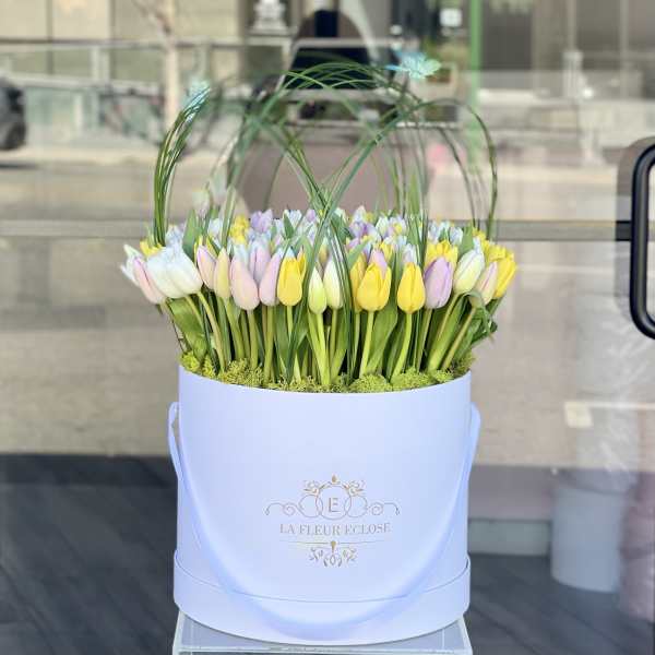 Pastel tulips arranged in a white round box with arched grass stems