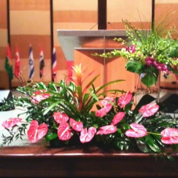 Stage floral display with pink tropical flowers and an orange accent plant before a podium