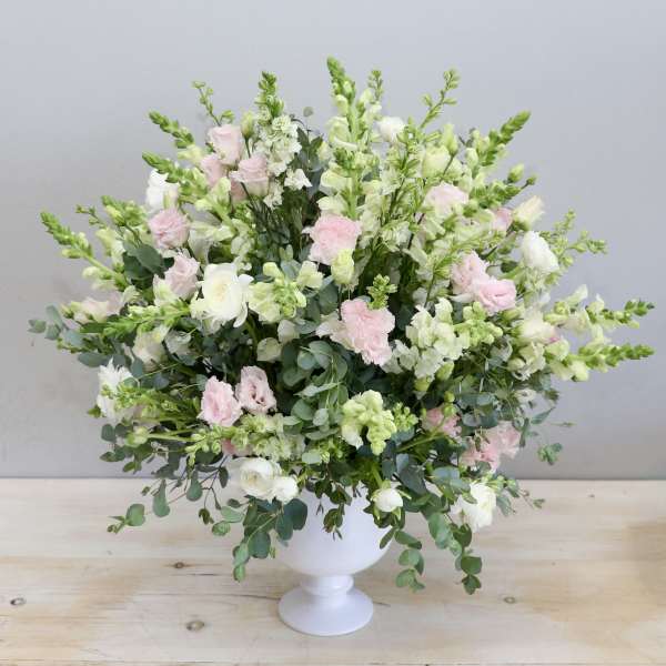 Snapping Beauty - My Glendale Florist