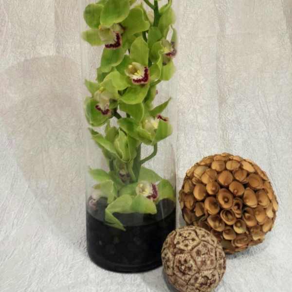 Green orchid stems in a tall glass cylinder with decorative seed pods beside it