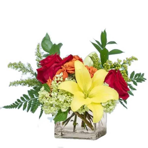 Low arrangement of yellow lily, red and orange roses, and green hydrangea in a clear glass cube vase