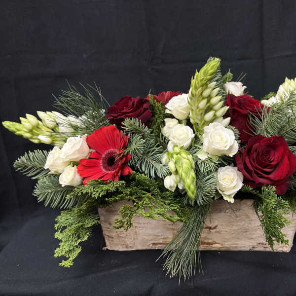 Red and white roses with red gerbera daisies in a wooden box
