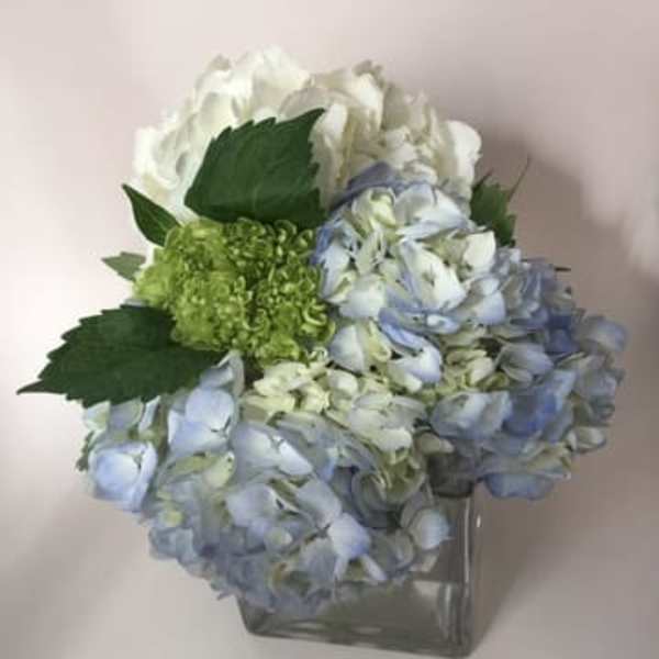 Suzanne Cummings Original 8