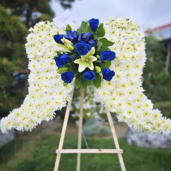 Angel Wings Blue and White