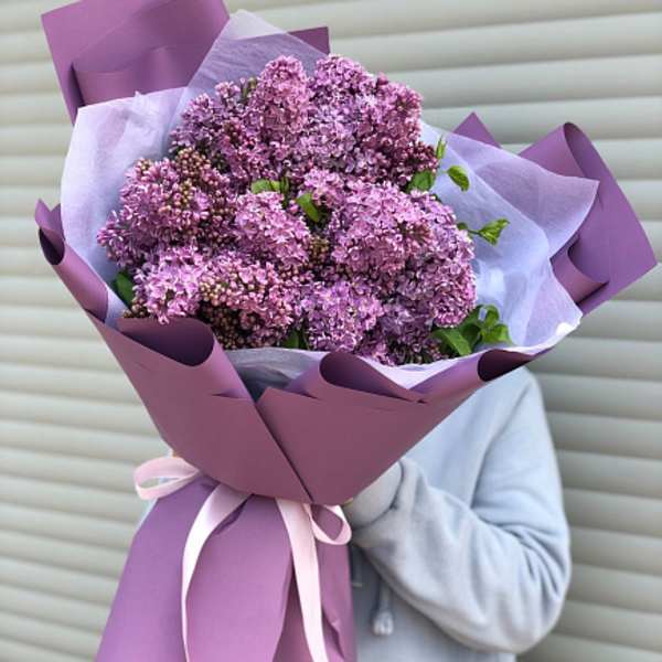 Hand-tied bouquet of purple lilac blossoms wrapped in lavender paper with a pink ribbon.