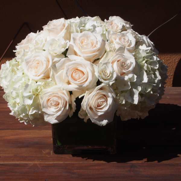 White roses and hydrangeas arranged in a square vase