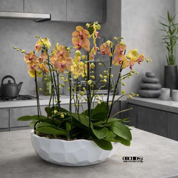 Yellow and pink phalaenopsis orchids in a low white ceramic bowl planter on a modern gray kitchen counter.