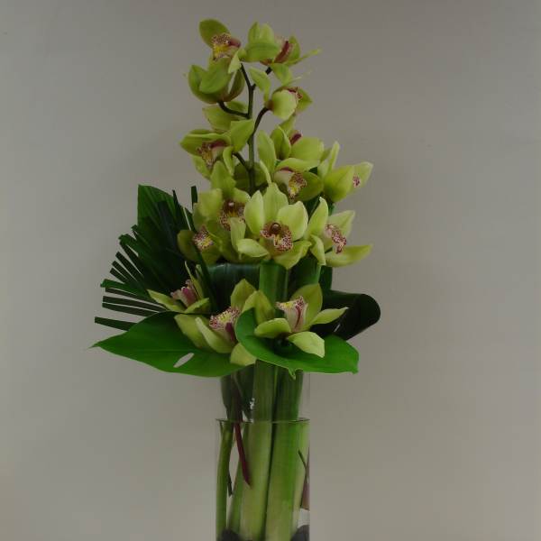 Green orchid arrangement in a tall glass vase