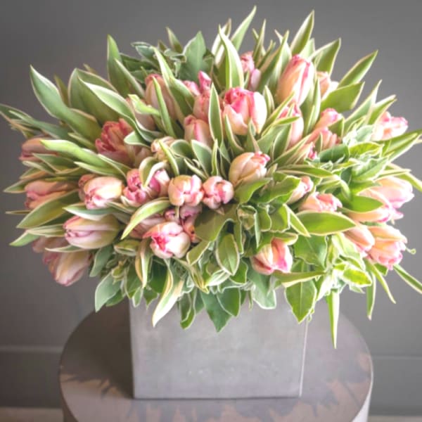 Pink tulips arranged in a square gray vase